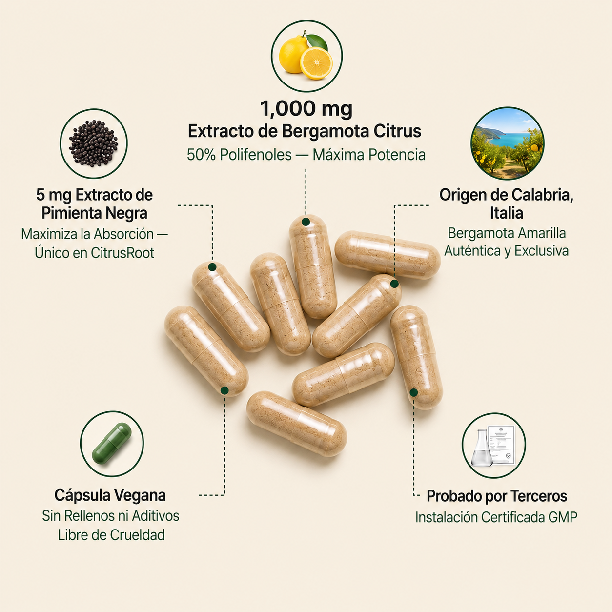 LIPORA™ | LA ALTERNATIVA NATURAL PARA EL COLESTEROL ALTO